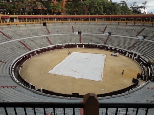a arena