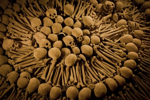ossos arrumados (reprodução de foto da Internet)