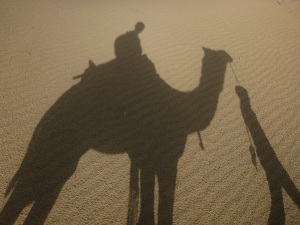safári de camelo