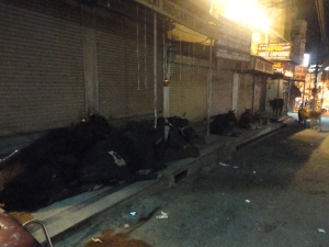16 vacas dormindo...